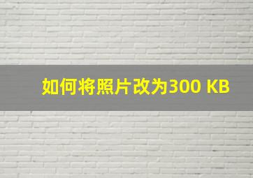 如何将照片改为300 KB